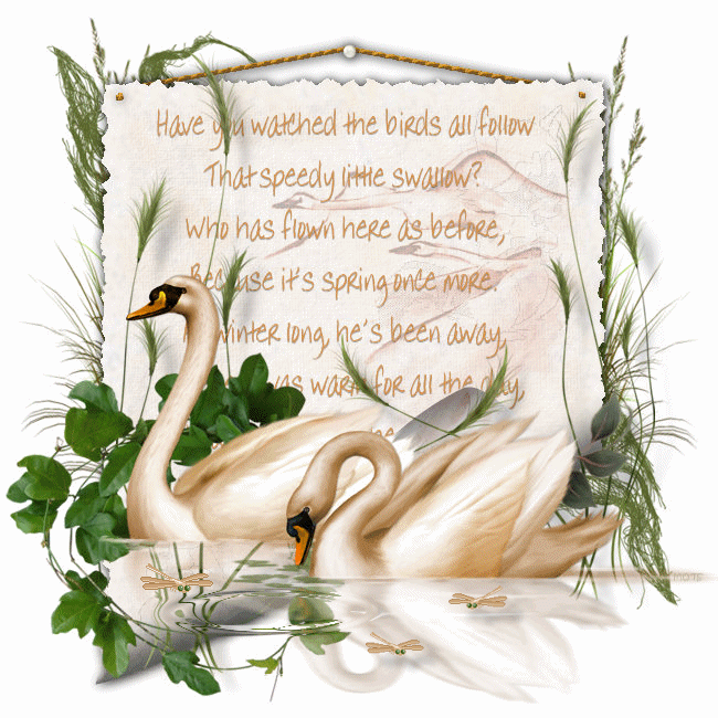 animals023bild.gif