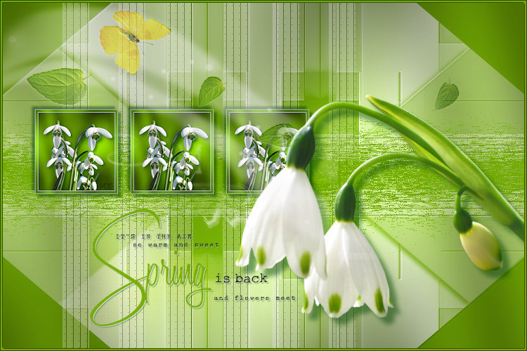 flowers074bild.jpg