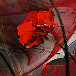 vsflowers045.jpg