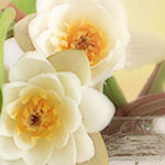 vsflowers047.jpg